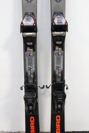 Blizzard Firebird Ca (2020) - 160 cm